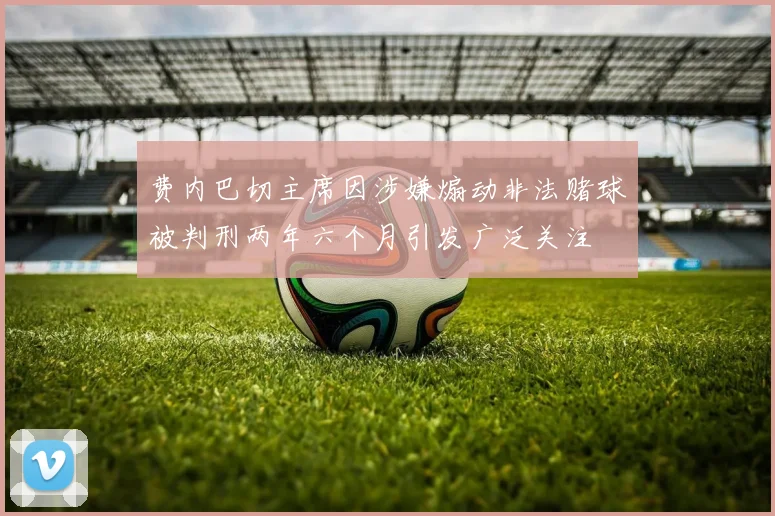 费内巴切主席因涉嫌煽动非法赌球被判刑两年六个月引发广泛关注