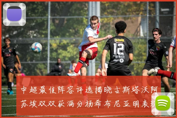 中超最佳阵容评选揭晓古斯塔沃阿苏埃双双获满分杨希布尼亚明表现出色
