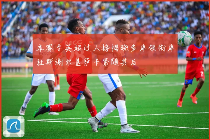 本赛季英超过人榜揭晓多库领衔库杜斯谢尔基萨卡紧随其后